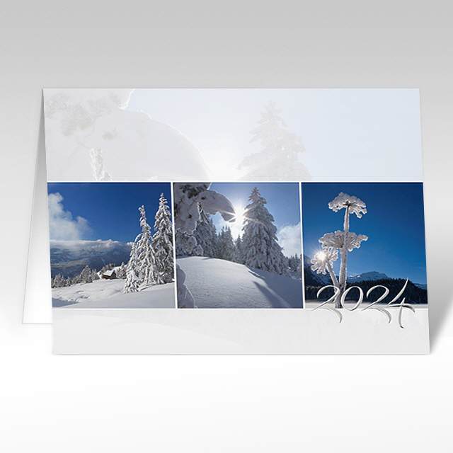 Neujahrskarten "Winterkomposition 03"