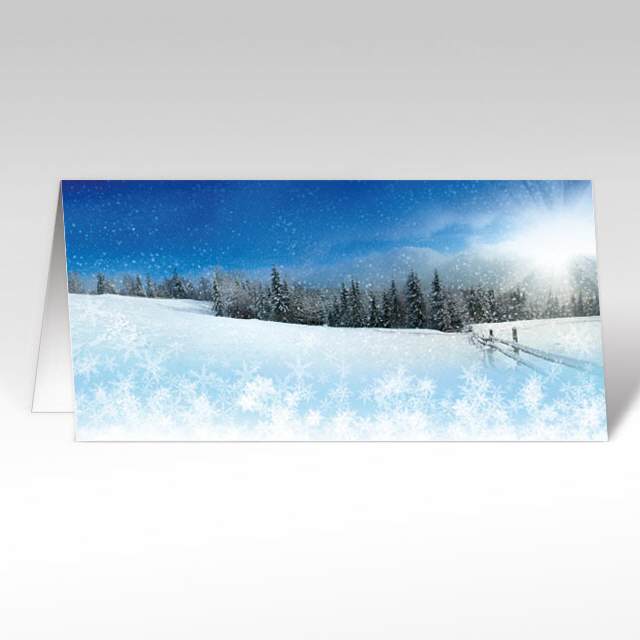 Weihnachtskarten mit Eisblumenlandschaft 210 x 105