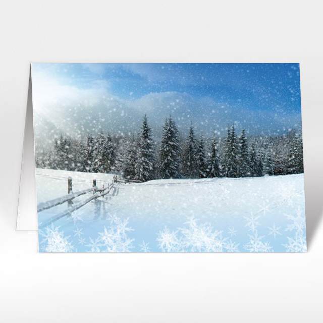 Weihnachtskarten mit Winter Eisblumen, A5 quer