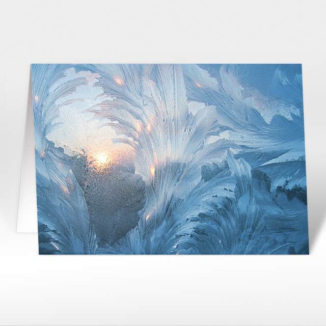 Weihnachtskarte "Eisblumen Fenster"