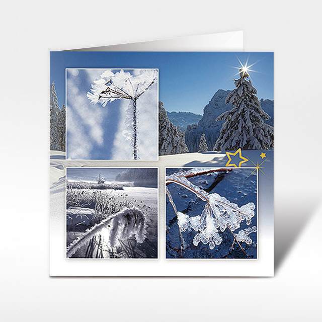 Weihnachtskarten "Impressionen Ibergeregg SZ"